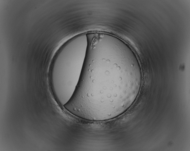 X0000091671125200708231007