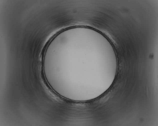X0000091671126200708231007