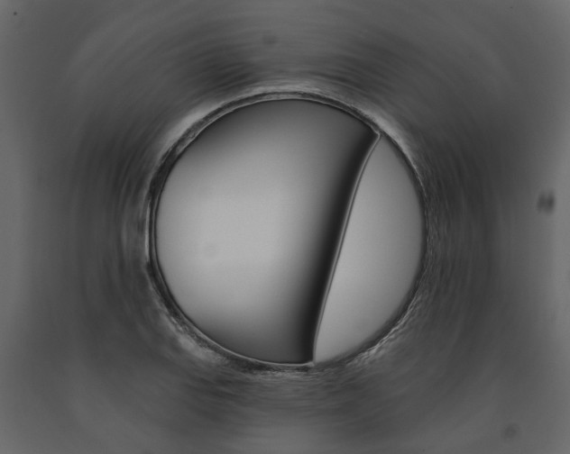 X0000091671127200708231007