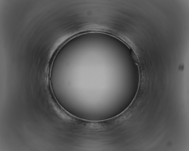 X0000091671128200708231007