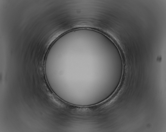 X0000091671129200708231007