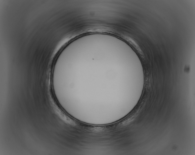 X0000091671130200708231007