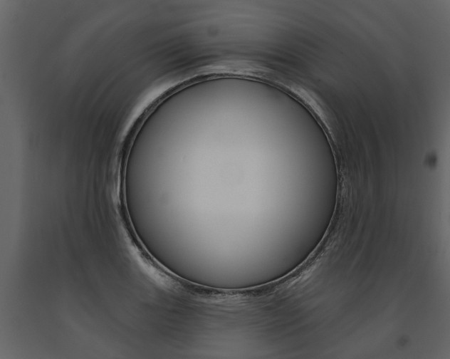 X0000091671131200708231007