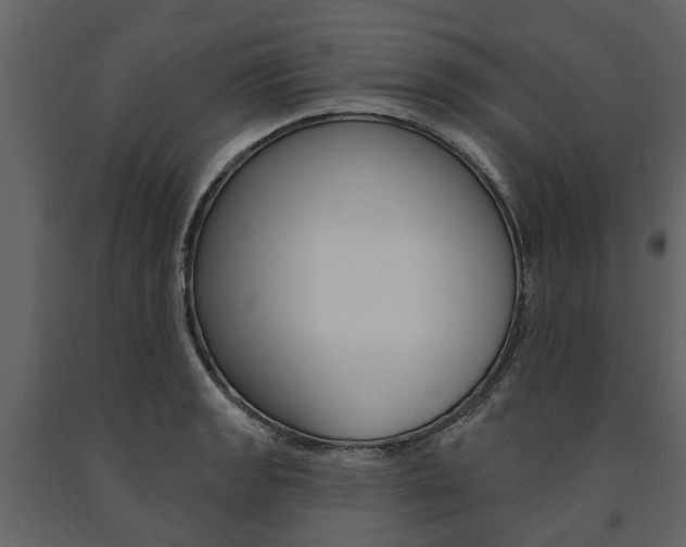X0000091671133200708231007