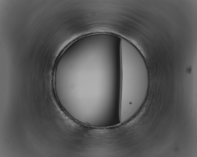 X0000091671134200708231007
