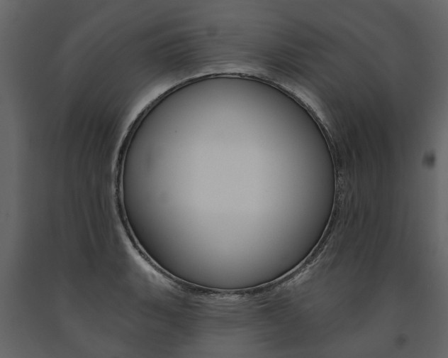 X0000091671135200708231007