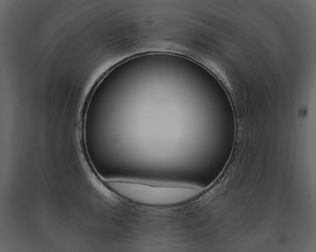 X0000091671136200708231007