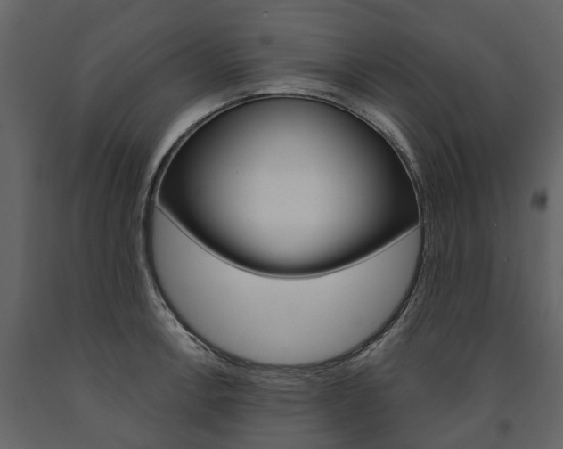 X0000091671138200708231007