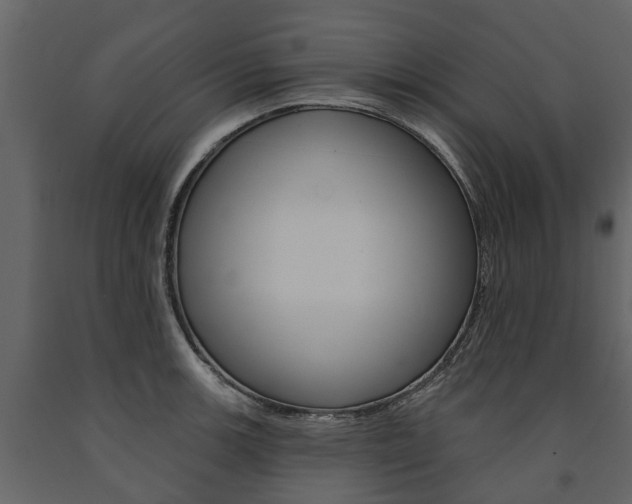 X0000091671139200708231007