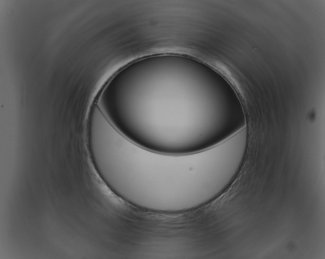 X0000091671140200708231007