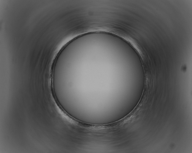 X0000091671143200708231007