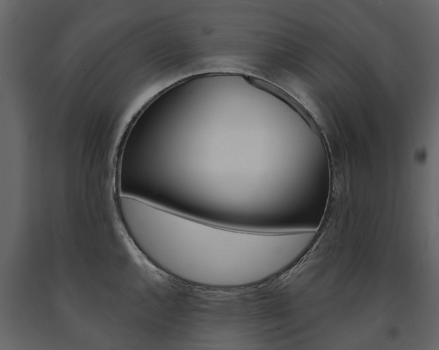 X0000091671144200708231007
