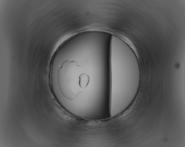 X0000091671146200708231007
