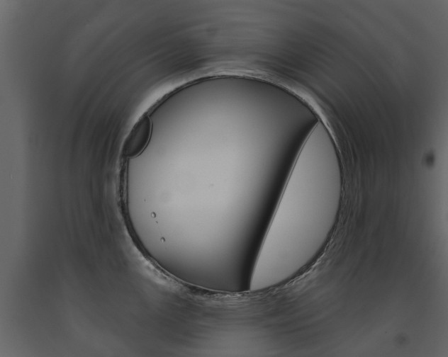 X0000091671147200708231008