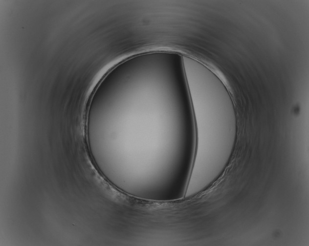 X0000091671148200708231008