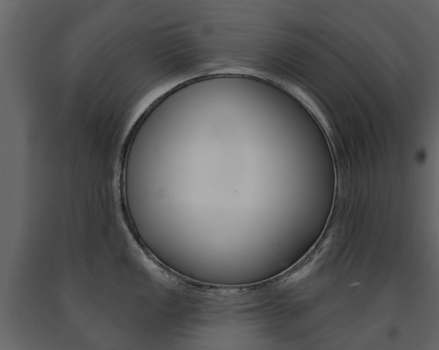 X0000091671149200708231008