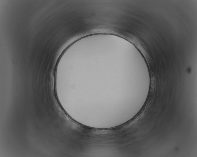 X0000091671150200708231008