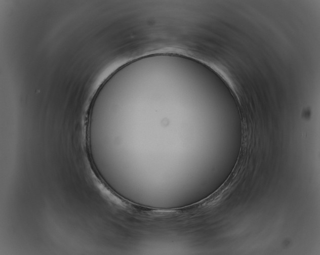 X0000091671151200708231008