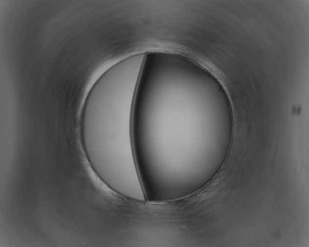 X0000091671152200708231008