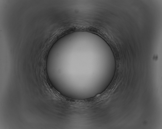 X0000091671153200708231007