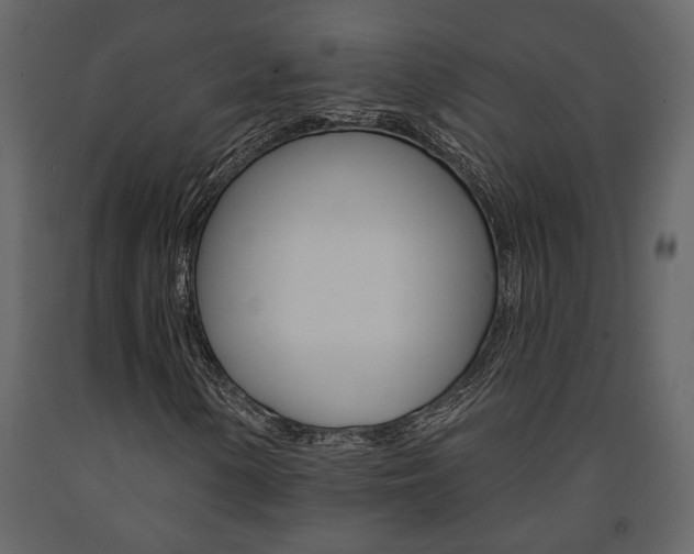 X0000091671154200708231007