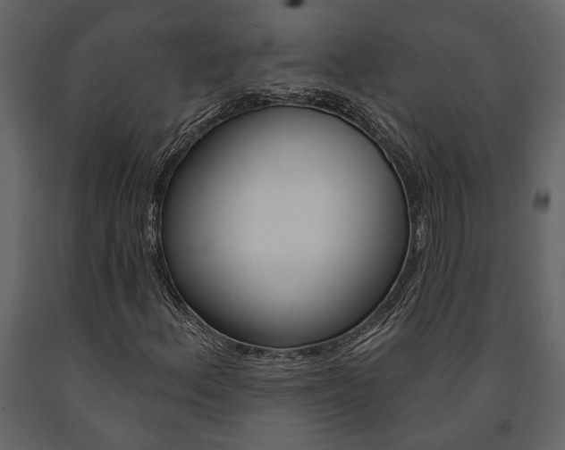 X0000091671156200708231007