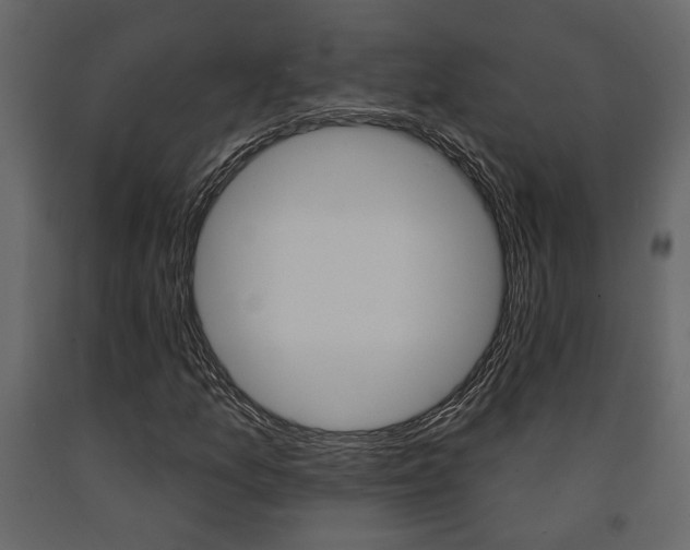 X0000091671157200708231007