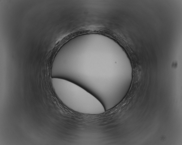 X0000091671158200708231007
