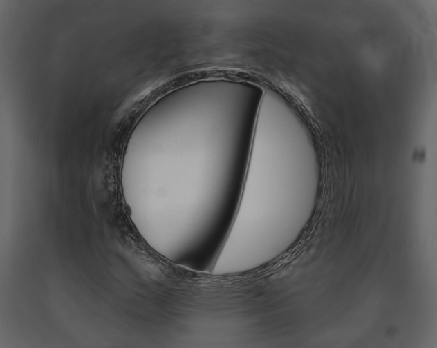 X0000091671159200708231007
