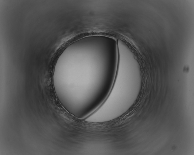 X0000091671160200708231007