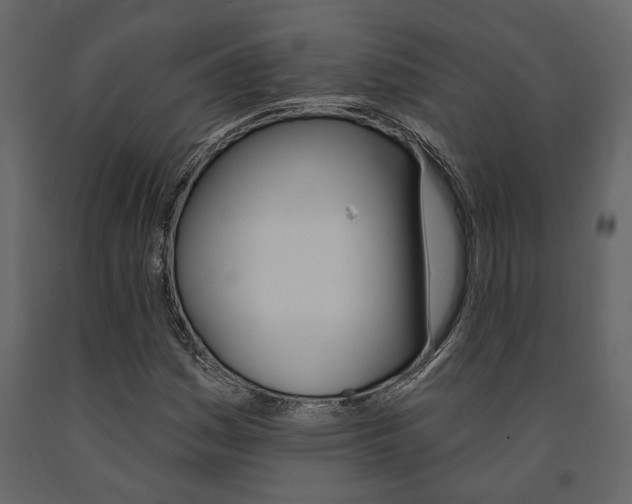X0000091671161200708231007