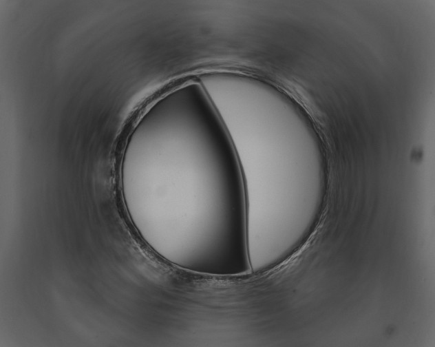 X0000091671164200708231007