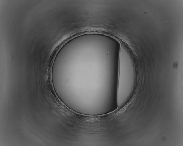X0000091671165200708231007