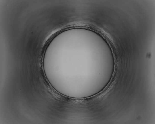 X0000091671166200708231007
