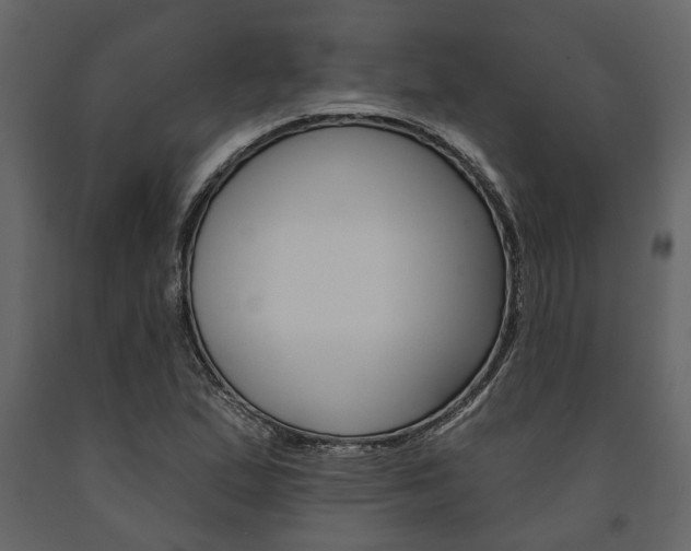 X0000091671167200708231007