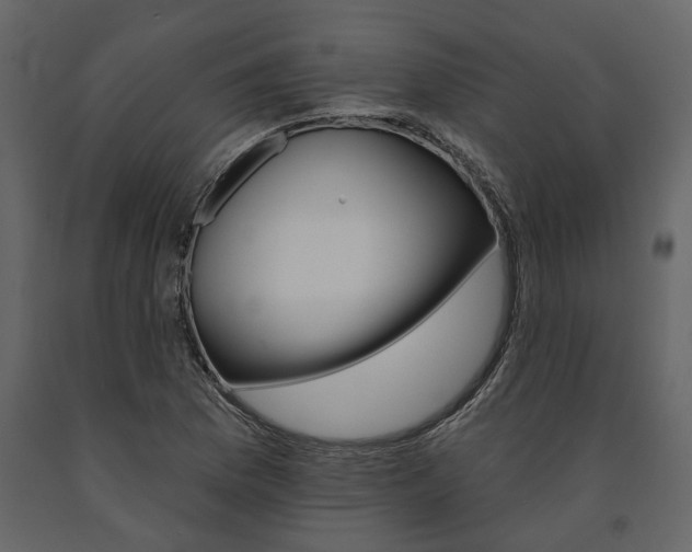 X0000091671169200708231007