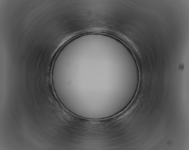 X0000091671170200708231007