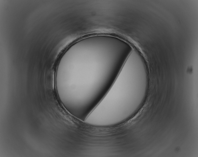 X0000091671171200708231007