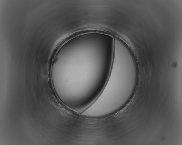 X0000091671172200708231007