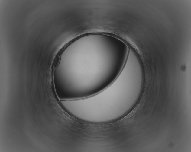 X0000091671173200708231007