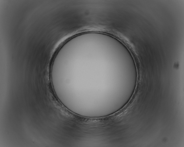X0000091671174200708231007