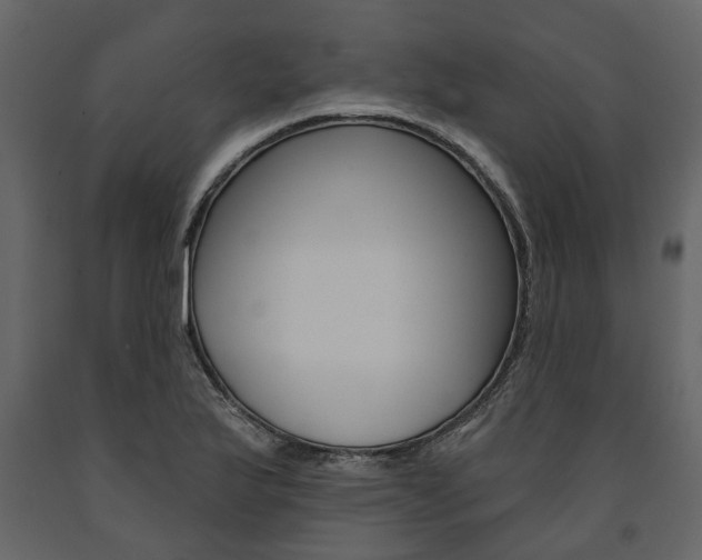 X0000091671175200708231007