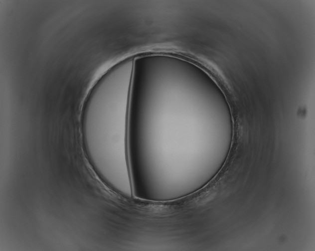 X0000091671176200708231007