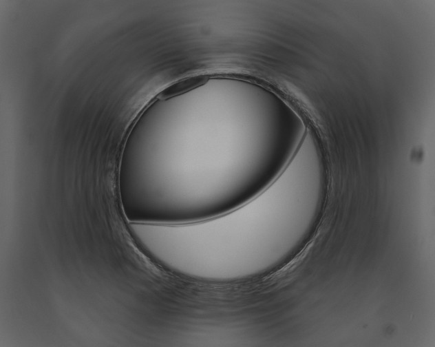 X0000091671177200708231007