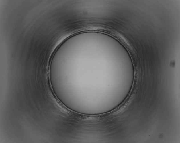X0000091671178200708231007