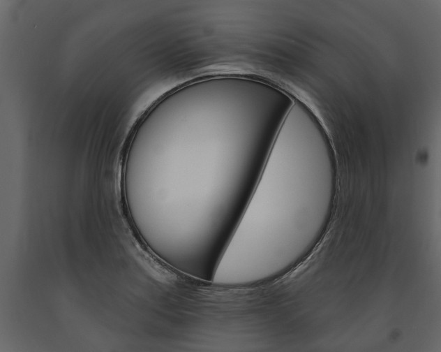 X0000091671179200708231007