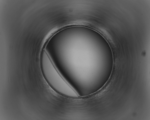 X0000091671180200708231007