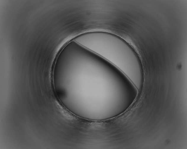 X0000091671181200708231007