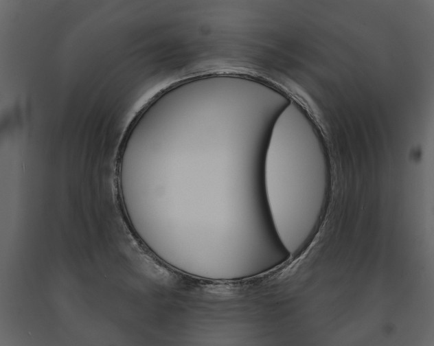 X0000091671182200708231007