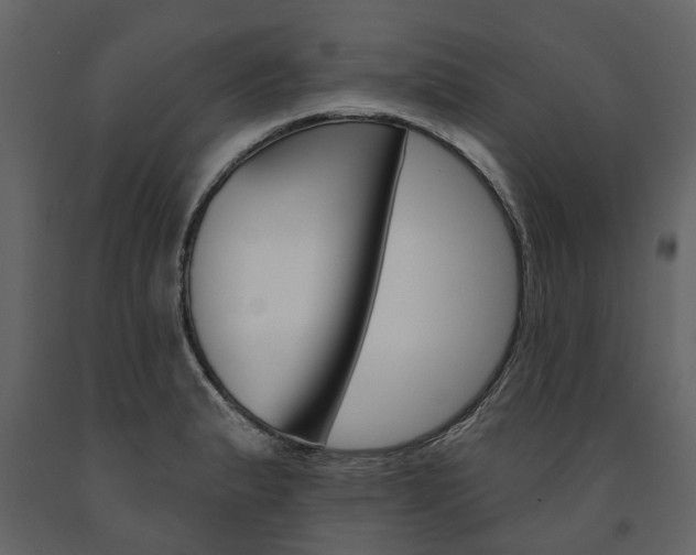X0000091671183200708231006